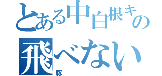 とある中白根キングの飛べない（豚）