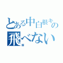 とある中白根キングの飛べない（豚）