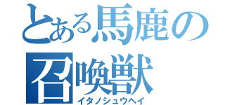 とある馬鹿の召喚獣（イタノシュウヘイ）