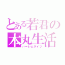 とある若君の本丸生活（ハーレムライフ）