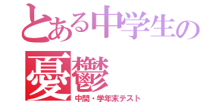 とある中学生の憂鬱（中間・学年末テスト）