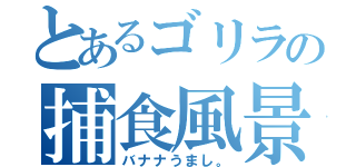 とあるゴリラの捕食風景（バナナうまし。）