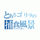 とあるゴリラの捕食風景（バナナうまし。）