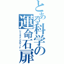 とある科学の運命石扉（シュタインズゲート）