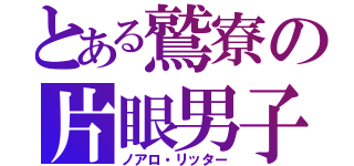 とある鷲寮の片眼男子（ノアロ・リッター）