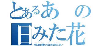 とあるあの日みた花（の名前を僕たちはまだ知らない）