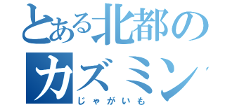 とある北都のカズミン（じゃがいも）