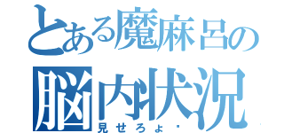 とある魔麻呂の脳内状況（見せろょ♡）