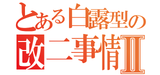 とある白露型の改二事情Ⅱ（）