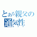 とある親父の通気性（カツラ）