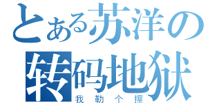 とある苏洋の转码地狱（我勒个擦）