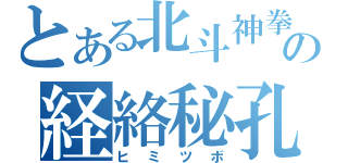 とある北斗神拳の経絡秘孔（ヒミツボ）