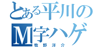 とある平川のＭ字ハゲ（牧野洋介）