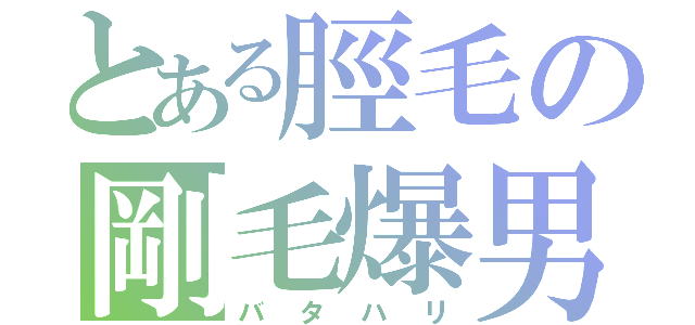 とある脛毛の剛毛爆男（バタハリ）