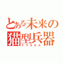 とある未来の猫型兵器（ドラえもん）