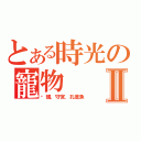 とある時光の寵物Ⅱ（螞蟻．守宮．孔雀魚）