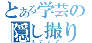 とある学芸の隠し撮り（スナップ）