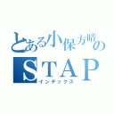 とある小保方晴子のＳＴＡＰ細胞（インデックス）