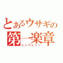 とあるウサギの第一楽章（シンフォニー）