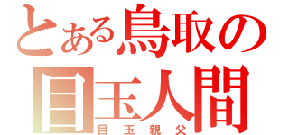 とある鳥取の目玉人間（目玉親父）