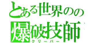 とある世界のの爆破技師（クリーパー）