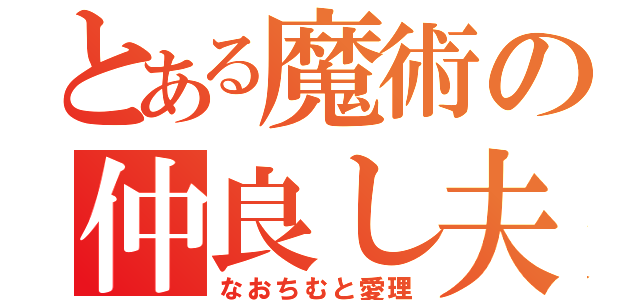 とある魔術の仲良し夫婦（なおちむと愛理）