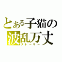 とある子猫の波乱万丈（ストーリー）