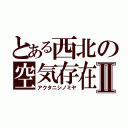 とある西北の空気存在Ⅱ（アクタニシノミヤ）