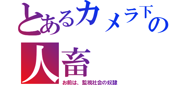 とあるカメラ下の人畜（お前は、監視社会の奴隷）