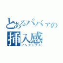 とあるババァの挿入感（インデックス）