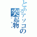 とあるアソコの突起物（いヴぉ）