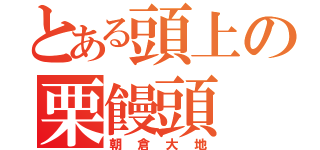 とある頭上の栗饅頭（朝倉大地）