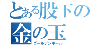 とある股下の金の玉（ゴールデンボール）