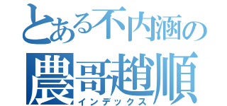 とある不内涵の農哥趙順（インデックス）