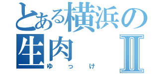 とある横浜の生肉Ⅱ（ゆっけ）