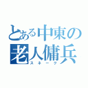 とある中東の老人傭兵（スネーク）