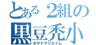 とある２組の黒豆禿小（オヤドマリエイム）