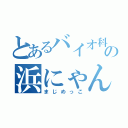 とあるバイオ科の浜にゃん（まじめっこ）