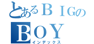 とあるＢＩＧのＢＯＹ（インデックス）