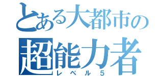 とある大都市の超能力者（レベル５）