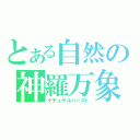 とある自然の神羅万象（ナチュラルバースト）