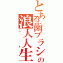 とある歯ブラシの浪人人生（ニート）