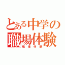 とある中学の職場体験（職場体験）