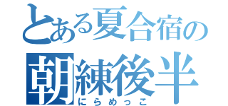 とある夏合宿の朝練後半（にらめっこ）