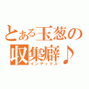 とある玉葱の収集癖♪（インデックス）