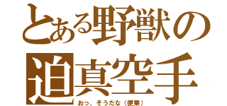 とある野獣の迫真空手（おっ、そうだな（便乗））