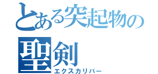 とある突起物の聖剣（エクスカリバー）