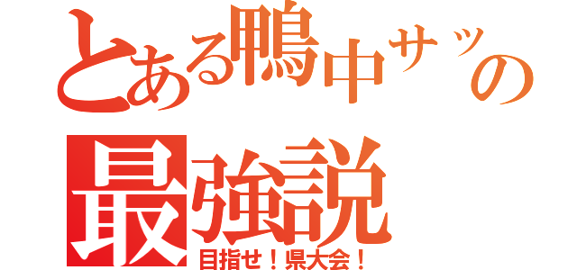 とある鴨中サッカーの最強説（目指せ！県大会！）