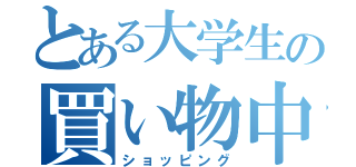 とある大学生の買い物中（ショッピング）