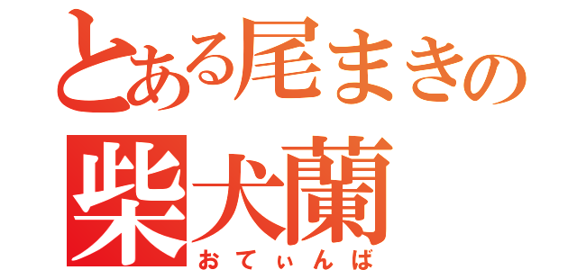 とある尾まきの柴犬蘭（おてぃんば）